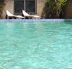 Toreador Motel - Coffs Harbour - Accommodation Bookings