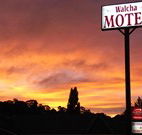 Walcha Motel - Walcha - Accommodation Bookings