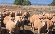 Fernmark Inn Bed And Breakfast - Accommodation Bookings 3