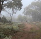 Heritage Park Bathurst - Accommodation Bookings