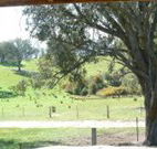 Hosanna Farm Retreat - Accommodation Bookings