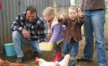 Linga Longa Farm Wingham - Accommodation Bookings 0