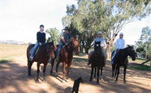 Linga Longa Farm Wingham - Accommodation Bookings 1