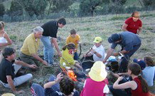 Linga Longa Farm Wingham - Accommodation Bookings 3