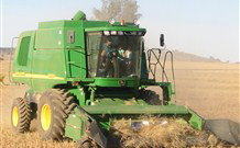 Linga Longa Farm Wingham - Accommodation Bookings 4