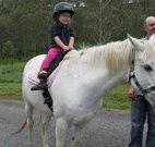 Mansfield Cottage Barrington Tops Accommodation - Accommodation Bookings