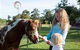 Mogendoura Farm - thumb 7