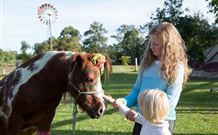 Mogendoura Farm - Accommodation Bookings 7