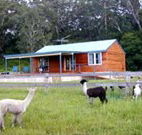 Moorallie Cottage Farm Stay - Accommodation Bookings
