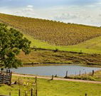 Sanctuary Hill Retreat - Accommodation Bookings