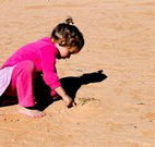 Stony Creek Farm B and B - Accommodation Bookings