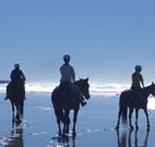 Whispering Brook - Accommodation Bookings