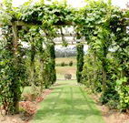 All Saints Bed and Breakfast - Accommodation Bookings