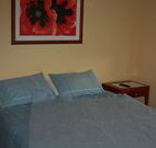 Busy Buzz - Accommodation Bookings