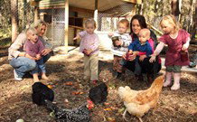 Chiltern Lodge Country Retreat - Accommodation Bookings 1
