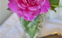 Newcastles Bed And Breakfast - Accommodation Bookings 3