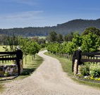 Pemberley Grange Hunter Valley Getaway - Accommodation Bookings