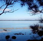 The Edgewater Bed and Breakfast - Accommodation Bookings