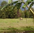The Watertank Bed and Breakfast - Accommodation Bookings