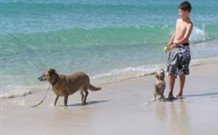 A Paradise Bungalow Waterfront - Accommodation Bookings 0