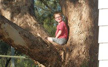 Leslie Cottage - Accommodation Bookings 7