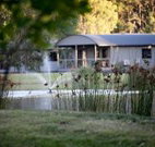 Mt Clunie Cabins - Accommodation Bookings