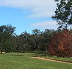 Mulberry Cottage - Accommodation Bookings