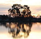 Myuna Bay Sport and Recreation Centre - Accommodation Bookings