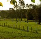 Stone Cottage Mittagong - Accommodation Bookings