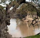 Valley View Cottage Hunter Valley - Accommodation Bookings