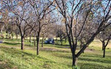 Worrowing Boat Shed - Accommodation Bookings 0