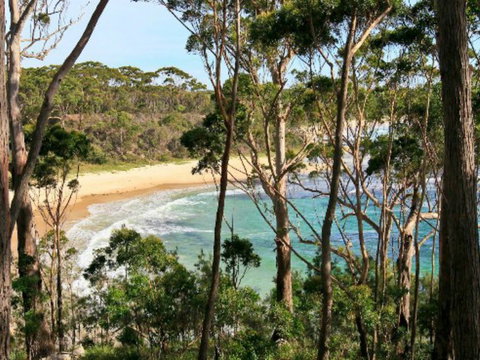 Allawah Cabins - Accommodation Bookings 1