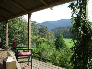 Fairview Farm Cottages - Accommodation Bookings 6