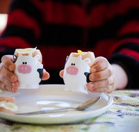 Cosy Cow Farmstay Bed and Breakfast - Accommodation Bookings