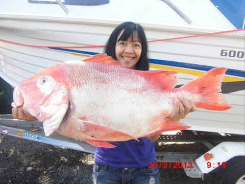 Flying Fish Point Tourist Park - Accommodation Bookings 6