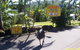 Flying Fish Point Tourist Park - thumb 9
