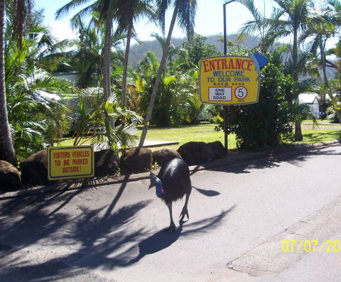 Flying Fish Point Tourist Park - Accommodation Bookings 9