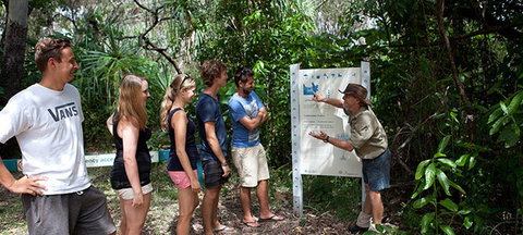 Magnetic Island YHA - Accommodation Bookings 8