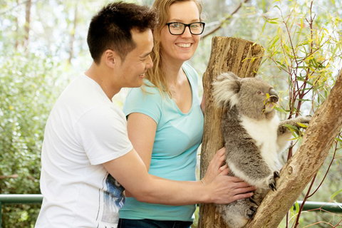 Mt Lofty YHA - Accommodation Bookings 6