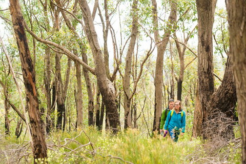 Mt Lofty YHA - Accommodation Bookings 8