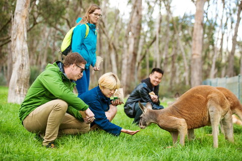 Mt Lofty YHA - Accommodation Bookings 7