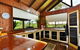Tea Tree Daintree - thumb 0