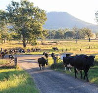 Tommerups Dairy Farmstay - Accommodation Bookings