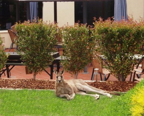 Alpha Canberra Hotel And Apartments - Accommodation Bookings 1