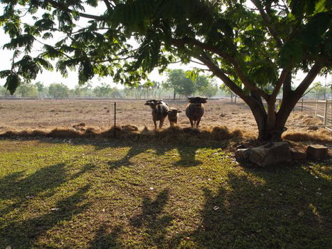 Berry Creek Bush Retreat - Accommodation Bookings 2