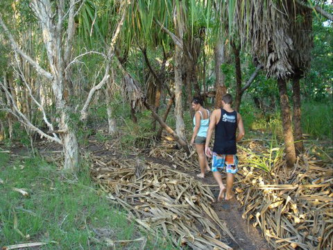 Berry Creek Bush Retreat - Accommodation Bookings 7