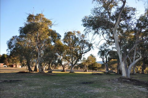 Braemar Bay Holiday Park - Accommodation Bookings 5