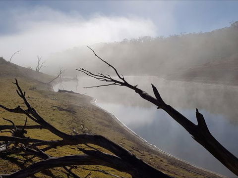 Braemar Bay Holiday Park - Accommodation Bookings 8