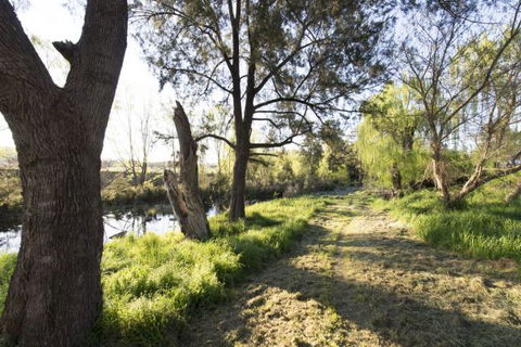 Fossickers' Tourist Park - Accommodation Bookings 9