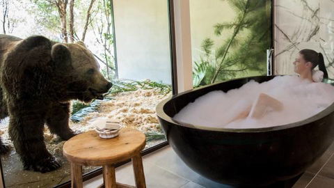Jamala Wildlife Lodge - Accommodation Bookings 0